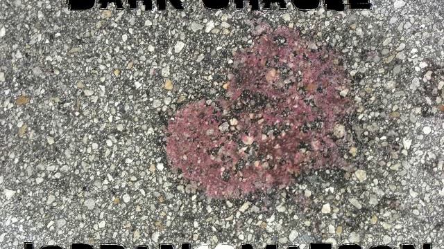 23. Dark Oracle By Jordan Matson 8-31-15 смотреть онлайн