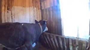 ПРИБЛИЖЕНИЕ ОТЕЛА!КАК ОПРЕДЕЛИТЬ СКОРЫЙ ОТЕЛ У НЕТЕЛИ?