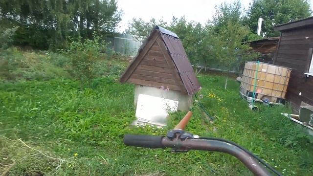 09.08.2021 сбор сорта Метеор. смотреть онлайн