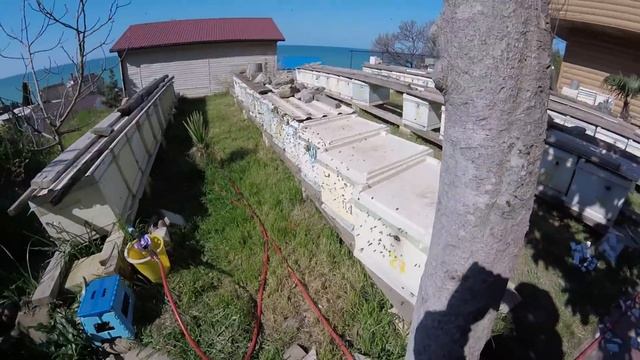 Холодный туман. Обработка пихтовым маслом 040418 г. смотреть онлайн