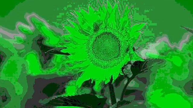 Your Wildest Dreams Moody Blues Monty Python Macbeth BBC смотреть онлайн