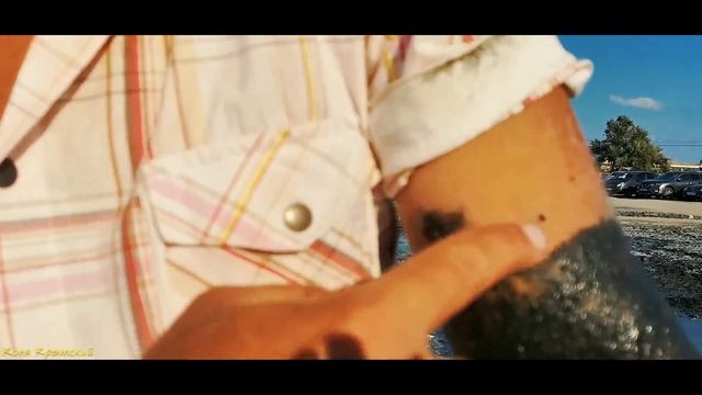 КРЫМ/ЕВПАТОРИЯ В ГРЯЗИ/МОЙНАКИ - соленое озеро/ЛЕЧЕБНАЯ ГРЯЗЬ/ смотреть онлайн