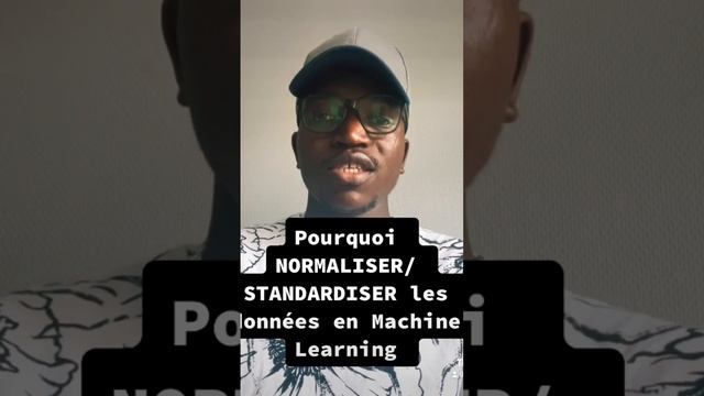 Pourquoi NORMALISER/STANDARDISER les données en Machine Learning ? смотреть онлайн