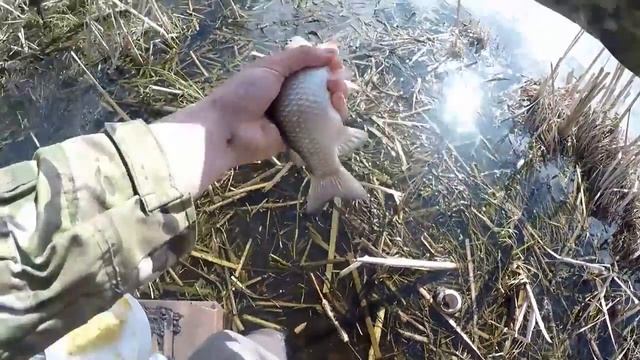 ЛОВЛЯ КАРАСЯ НА МАСЛО смотреть онлайн