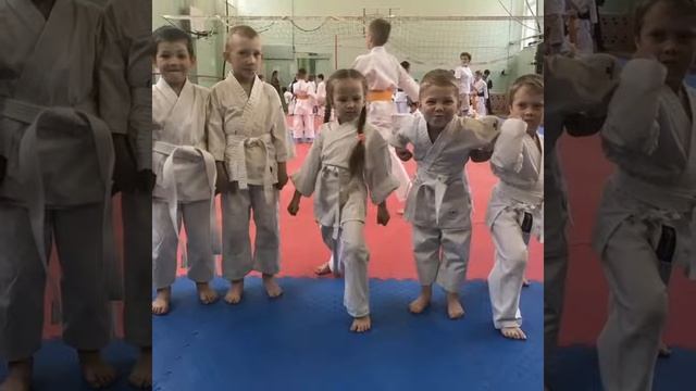 Аттестация по Каратэ, май 2018 смотреть онлайн