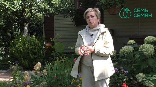 ЗАНОСИМ ЭУСТОМУ В ДОМ! ГОТОВИМ ЭУСТОМУ К ЗИМЕ! смотреть онлайн