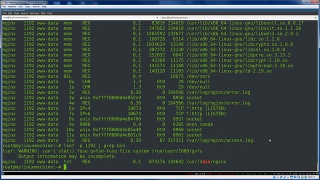 8 Basic lsof Commands Every Sysadmin Needs to Know смотреть онлайн
