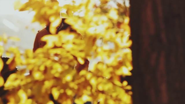 Wondlan MAG-02 Magic Mini payload test смотреть онлайн