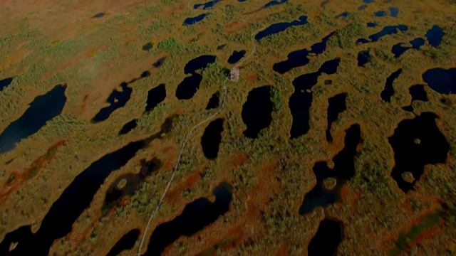 Kemeri National Park 4K смотреть онлайн