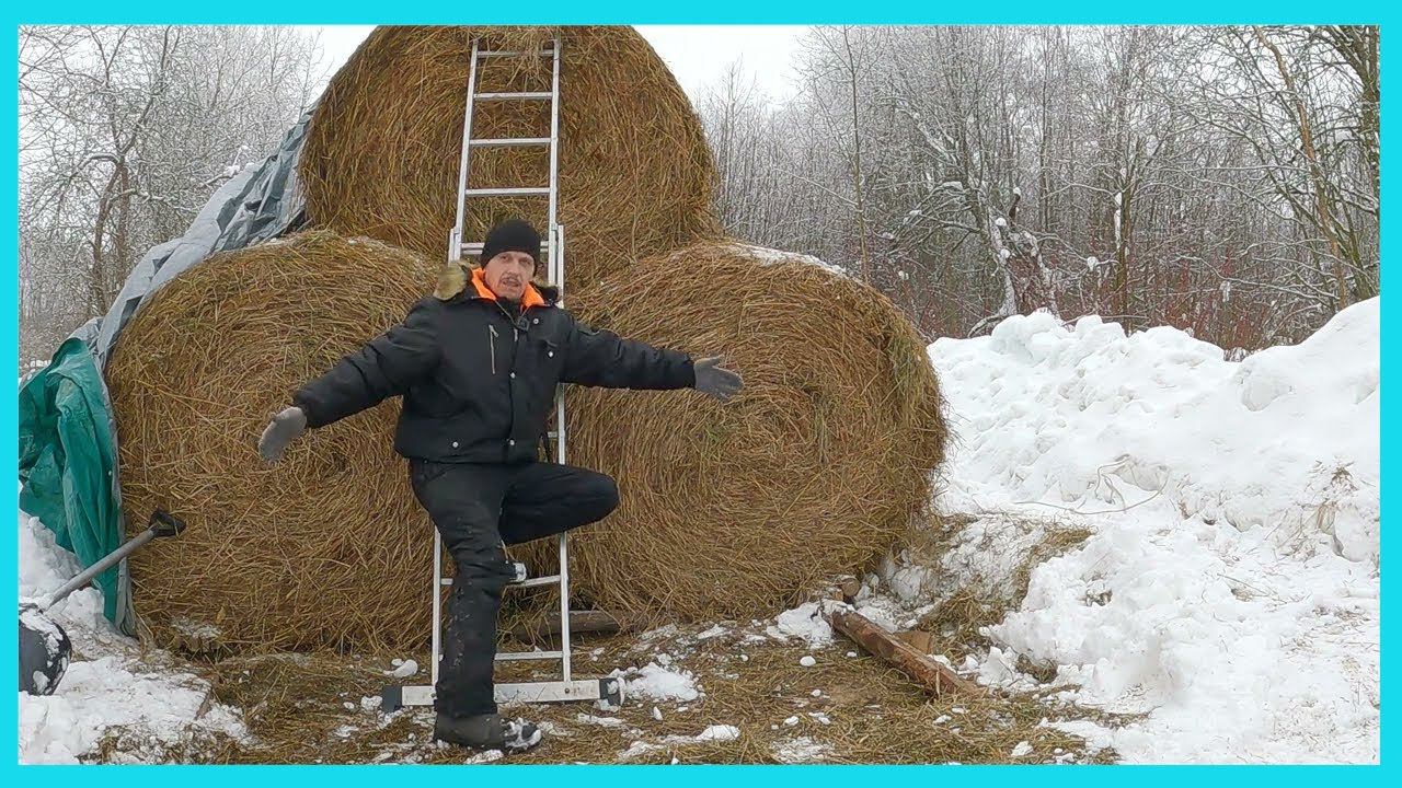 Ура! Уже февраль! Чем занимаемся в эту глухую пору в деревне смотреть онлайн
