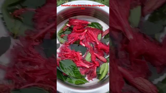 natural shampoo hibiscus hair gel #hairgrowth #haircare #hairmask смотреть онлайн