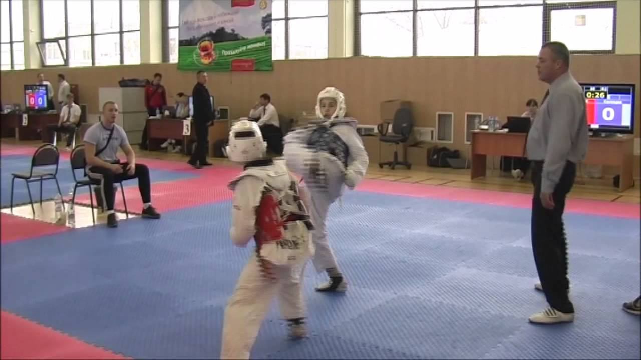 Taekwondo WTF. Турнир клуба Беркут. 03.11.2013 Солнцев-Горбачев смотреть онлайн