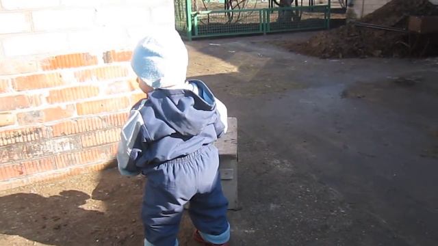 Тема и соседский пекинес Филя смотреть онлайн