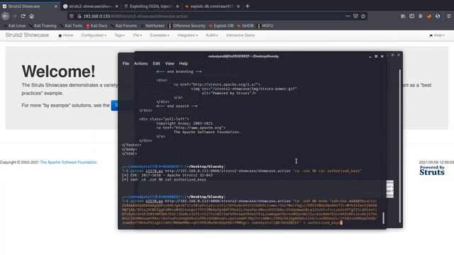 VulnHub: BlueSky (exploiting Apache Struts 2) смотреть онлайн