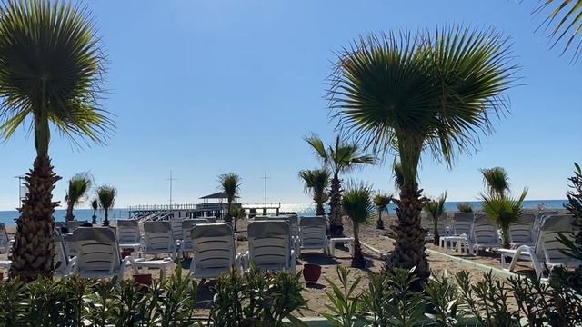 Delphin Imperial - Январь 2022. Это - Феномен! Переехать на море? Меня узнали немцы! смотреть онлайн