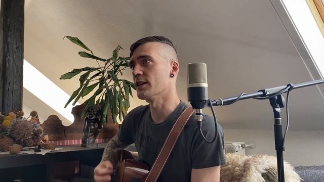 Sperling singt - Freisaal (Jännerwein cover) смотреть онлайн