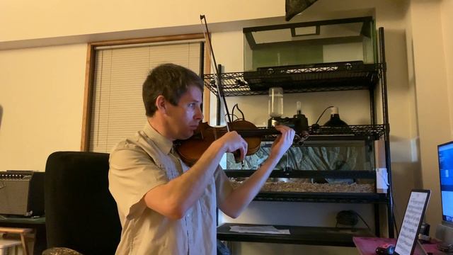 Вариации на тему Вейгля, Ш. Данкля