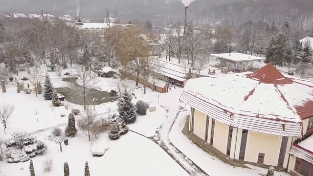 сан. КВІТКА ПОЛОНИНИ м.Свалява Закарпаття смотреть онлайн