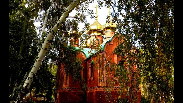 Явление покойного христианина в Конго смотреть онлайн