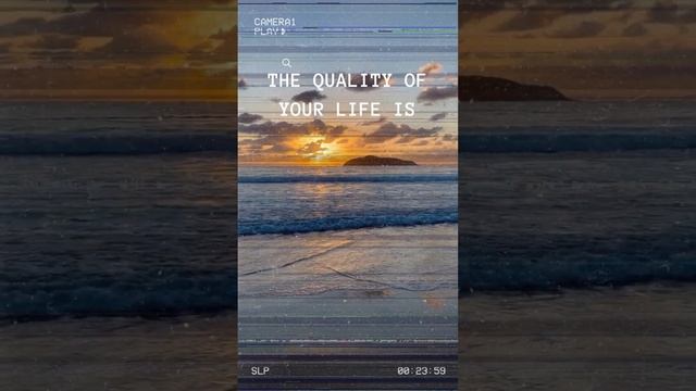 The monk who sold his ferrari key takeways смотреть онлайн