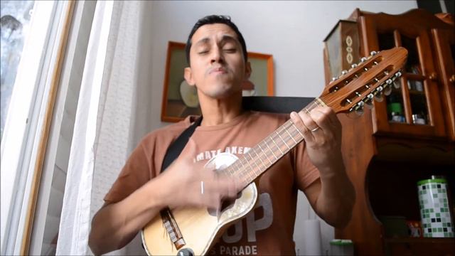 La Maza versión Charango - Silvio Maximiliano Rodriguez смотреть онлайн