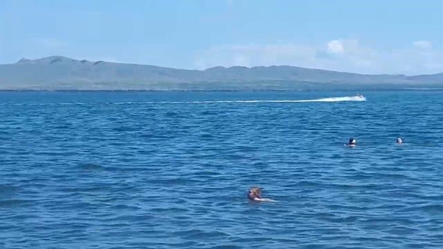 Озеро Шира в поселке Жемчужный. смотреть онлайн