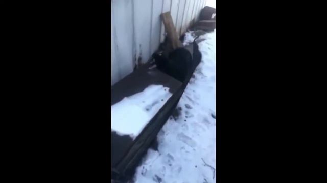 Как нельзя делать зимой смотреть онлайн