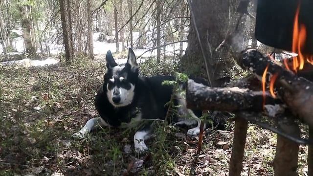 Вот и пришла весна в Республике Коми смотреть онлайн