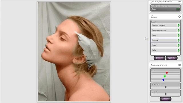 Раскрашивание черно-белое фото в приложении Coloring смотреть онлайн