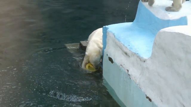 Один медвежонок захватил айсберг, второй пытается бороться. смотреть онлайн