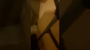 Беговая дорожка механическая Torneo cross.