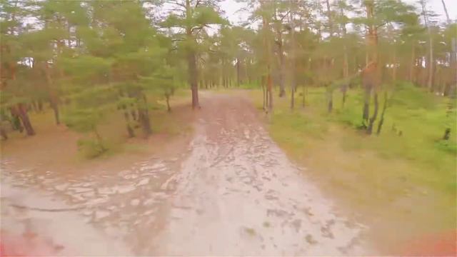 Ныряем в соснах смотреть онлайн