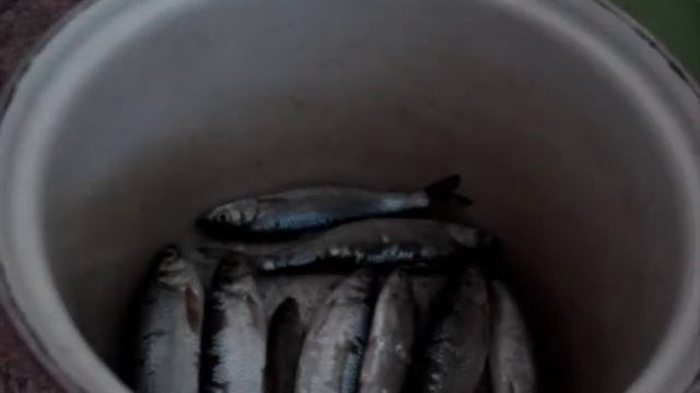 Дизайн Интерьера