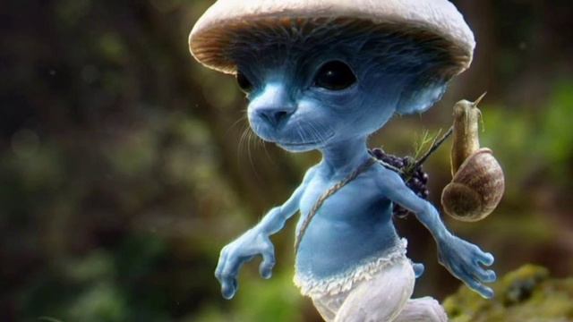 ПЕСНЯ Шалушай