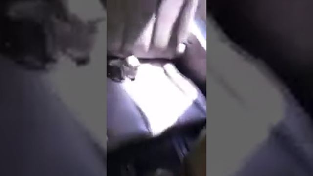 Экскурсии из Запорожья небольшими группами смотреть онлайн