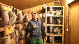 Будни кроликовода. Всё о кроликах