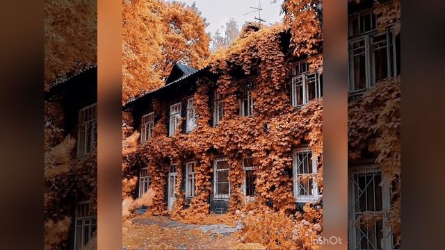 Дом расскажи-Сергей Завьялов в память Маэстро Шансона смотреть онлайн