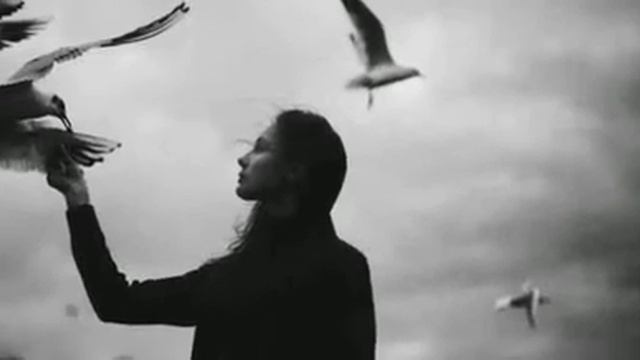 Денис Те amo - я и ты смотреть онлайн