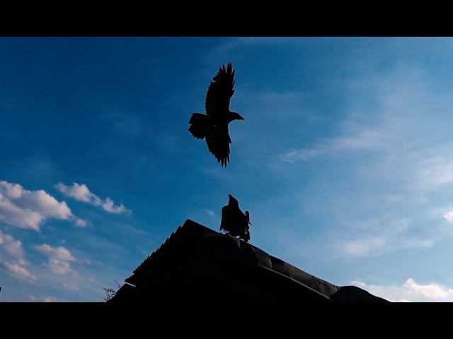 Что есть любовь. смотреть онлайн