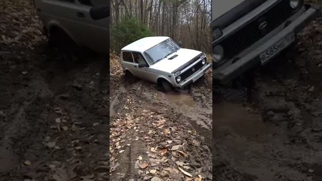 Нива и диагональ смотреть онлайн