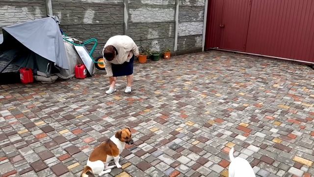 Мы с мамой ходим парой смотреть онлайн