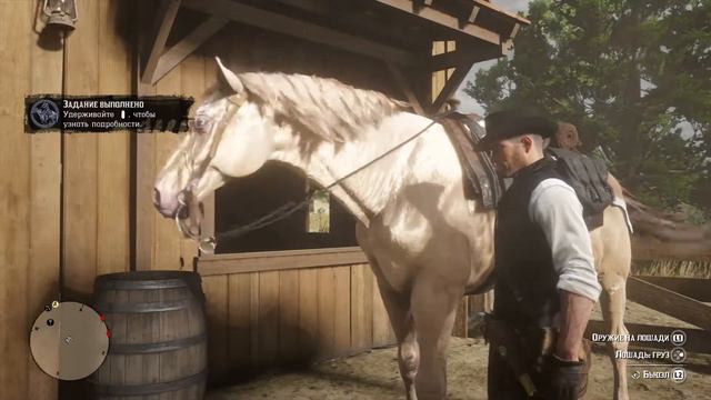 Red Dead Redemption 2-Самый красивый и редкий конь в RDR2 смотреть онлайн