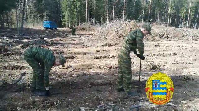 Неделя леса 2022 МОКУ смотреть онлайн