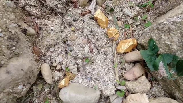 The richest island in the world picks up gold nuggets смотреть онлайн