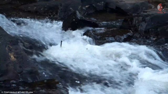 Spanish Romantic Flamenco Music - The Best Beautiful Flamenco Guitar Instrumental Music