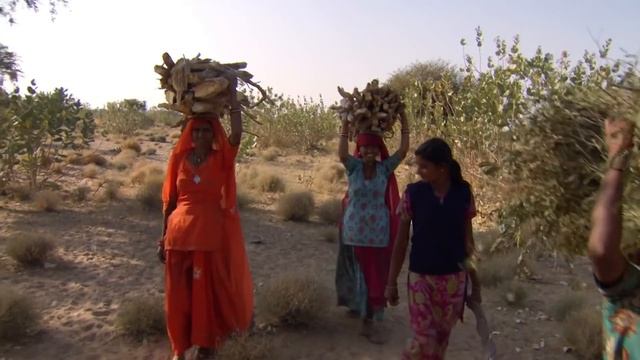 Thar: The Incredible Living Desert | Deserts And Life смотреть онлайн