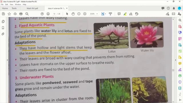 class 4 science ch 8 Adaptation Part 3 Aquatic plants смотреть онлайн