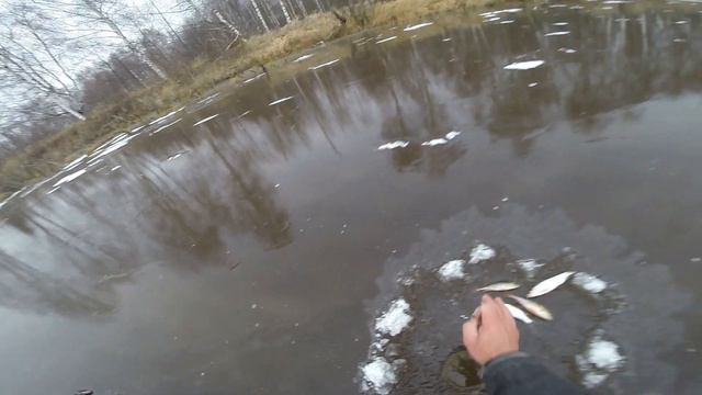 Рыбалка по первому льду 2020 - 2021, по первому льду на бусинку. смотреть онлайн