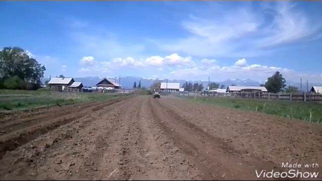 Ранняя прополка картофеля сеткой рабицей смотреть онлайн