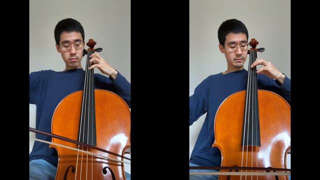 Giovanni Battista Vitali - Partite sopra diverse sonate, Toccata (cello + basso continuo) смотреть онлайн